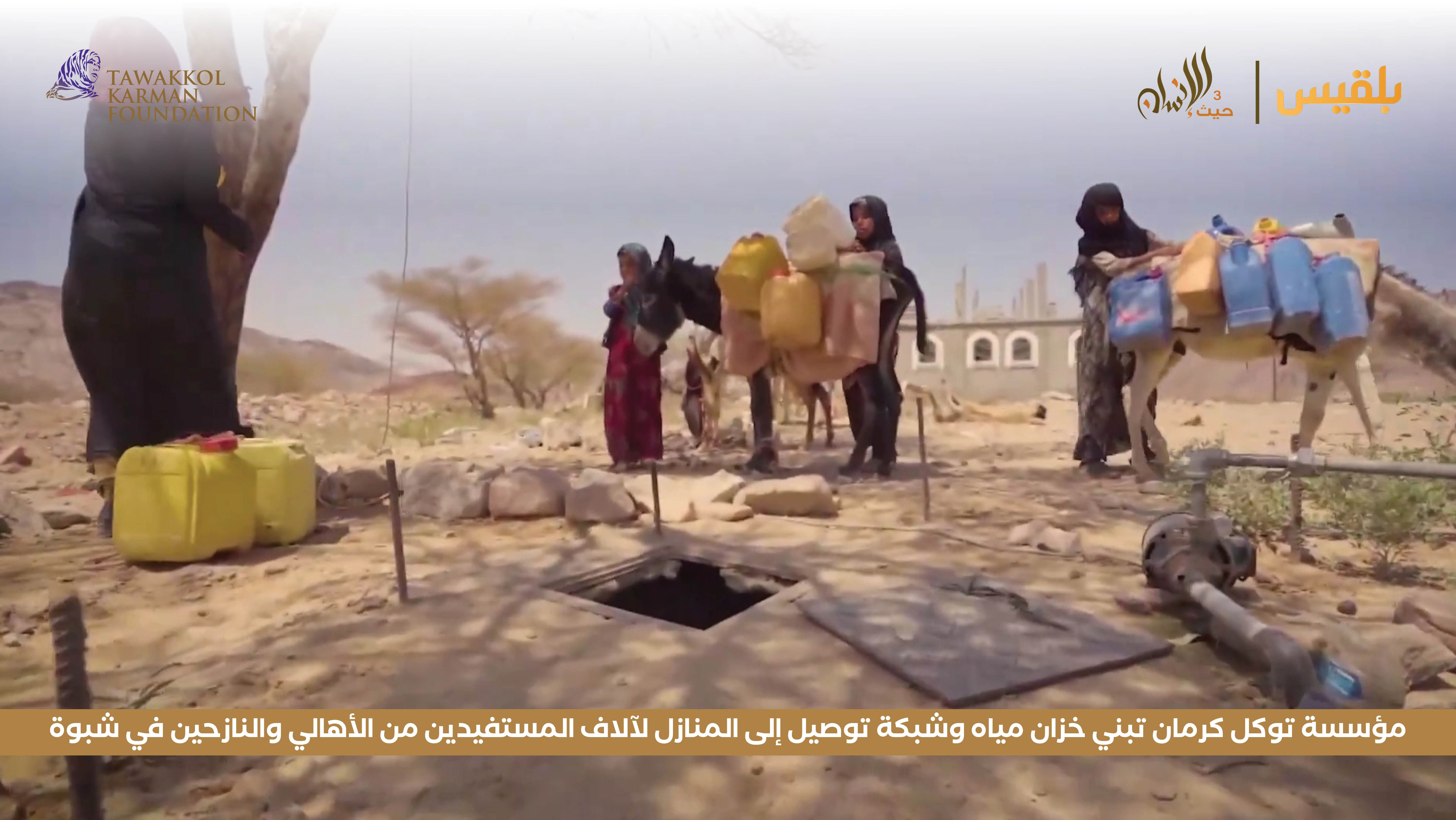 Haven For Humanity 82